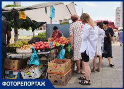 В «Магните» цены другие: показываем жизнь ярмарок Краснодара