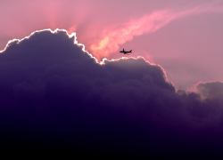 Из-за буйных пассажиров в аэропорт Краснодара вернулся самолёт 