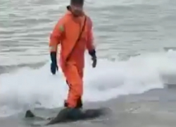 Спустя месяц найдено тело пропавшего в море кубанского школьника