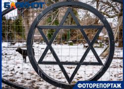 Тайны Еврейского кладбища Краснодара: от Маршака с Каплан до охраны собак и продажи домов на костях