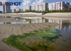«Никто не хочет брать на себя ответственность»: краснодарец об отказе властей чистить реку Кубань