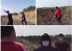 У фермера на Кубани пытались «отжать» урожай мужчины в масках - СМИ