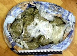 У жителя Ейского района изъяли полторы тысячи доз наркотика 