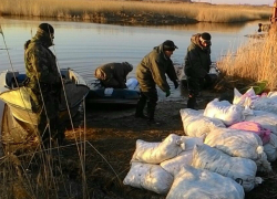 Сотрудники ФСБ задержали браконьеров на Кубани
