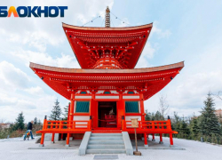 Многочасовое ожидание, бронирование и проход с детьми: как попасть в Японский сад в Краснодаре 