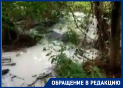 Жительница Кубани пожаловалась на ручей из химических вод