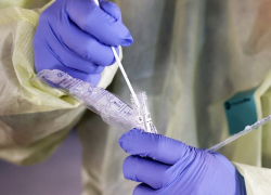 Коронавирус выявлен в 31 муниципалитете Кубани