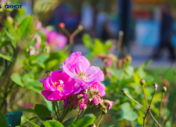 В центре Краснодара пройдет шествие «Дорогая, ты права!»