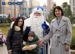 Новогодние чудеса для детей организовал Благотворительный Фонд «Дом «Инсити»