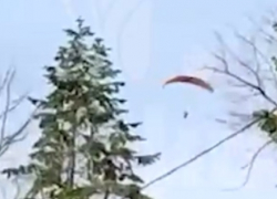 Видео крушения параплана в Краснодарском крае с двумя погибшими