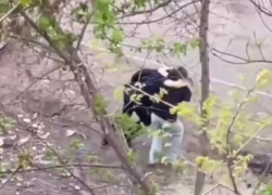 Молодые люди под веществами попали на видео в центре Краснодара