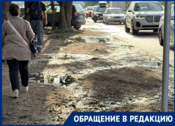 Детям приходится выходить на проезжую часть из-за отсутствия тротуара возле школы в Краснодаре