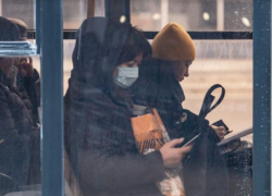 173 новых случая заражения коронавирусом выявлено на Кубани 23 ноября