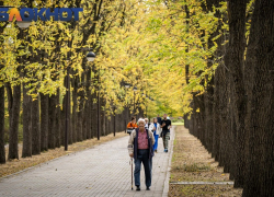 Бабье лето вернётся в Краснодар во второй половине ноября 