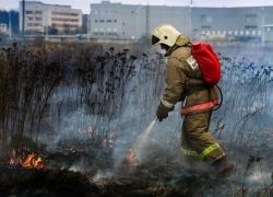 На Кубани МЧС объявило об угрозе лесных пожаров