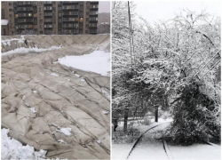 Упало дерево и рухнула крыша спорткомплекса: ЧП в Краснодаре, которые вызвал снегопад