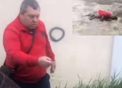 В Сочи водитель задавил домашнюю собаку и стал угрожать ее хозяйке