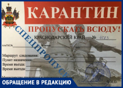 «Люди по две недели ждут, а вы за три дня хотите», - краснодарец не может получить красный пропуск