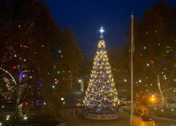 Губернатор Кубани запустил новогодний флешмоб 