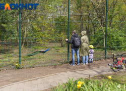 Тёплый и ветреный день ждёт Краснодар в понедельник