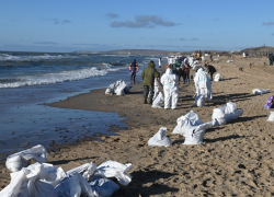 Новые участки загрязнения мазутом нашли на берегу моря в Краснодарском крае