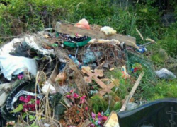 В Сочи центральное кладбище завалили мусором