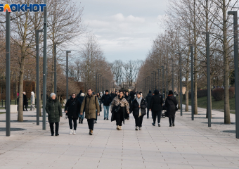Сильный ветер омрачит пятницу в Краснодаре