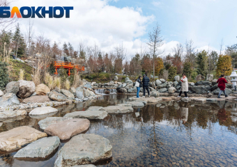 Весеннее потепление ворвётся в Краснодар на Рождество