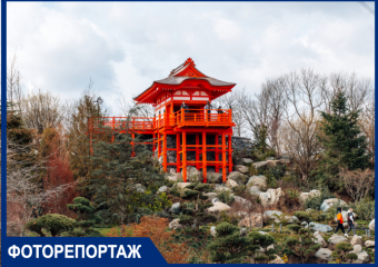 Показываем открытие Японского сада в парке Галицкого – самого большого в мире: фоторепортаж