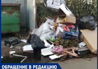 «Просто позорище»: в Краснодаре месяц не вывозят кучи мусора