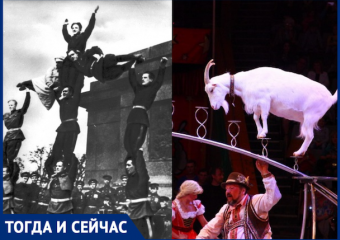 «Тогда и сейчас»: какие цирки развлекали краснодарцев в разные времена