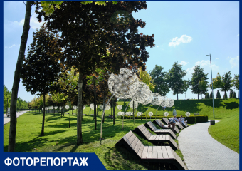 Неизвестный парк Галицкого: пустынные аллеи, скверы и беседки