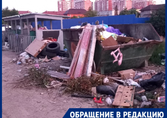 «Это просто экологическая катастрофа»: посёлок Российский в Краснодаре утопает в мусоре