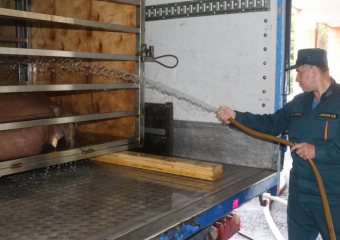 По пути в Анапу два моржа чуть не погибли из-за жары