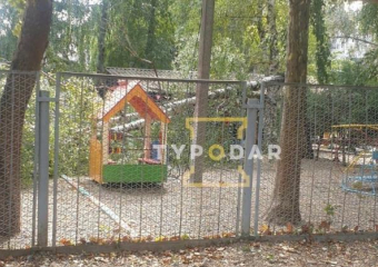 На игровую площадку детсада в Краснодаре снова рухнуло дерево 