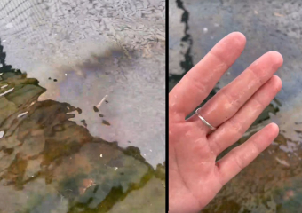 Из-за разлива нефти масляные пятна добрались до Анапского дельфинария