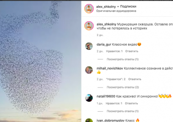 Танец скворцов или мурмурация: необычное явление заснял фотограф из Краснодара 