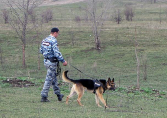 В Краснодаре мужчина жестоко убил собаку, которая загрызла его кур 