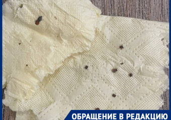 На краснодарцев нападают клещи 