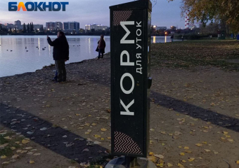 Автоматы с кормом для уток появились у водоемов Краснодара