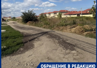 «Вынуждены ходить по полю с бездомными собаками»: в Динском районе детей лишили школьного автобуса