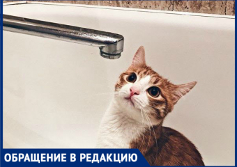 Первые тревожные звонки отопительного сезона: два дня жители Краснодара вынуждены жить без воды