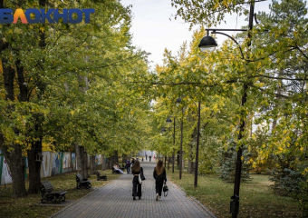 Ботанический сад Краснодара закрыли для посетителей