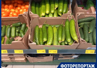 В Краснодаре показали цены на продукты для окрошки