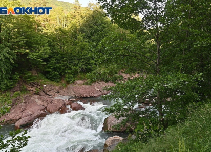 Жара лишила шашлычников возможности отдохнуть в лесах Кубани