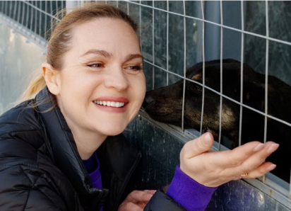 300 килограммов корма и 150 надежд: как строительная компания ССК поддерживает бездомных собак