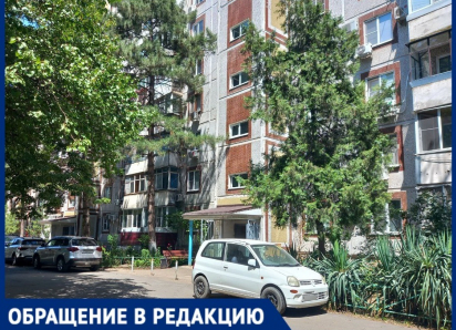 Тошнотворный запах и антисанитария: краснодарка заполонила квартиру кошками и кошмарит соседей