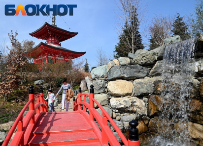 Цветение деревьев «притянет» дожди: метеорологи дали безрадостный прогноз на начало апреля в Краснодаре