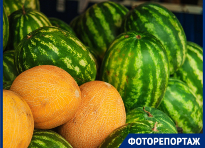 Настал арбузный бум: сколько стоит ягода и какими сортами удивляют краснодарцев в 2025