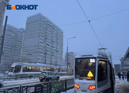 Снегопад, слякоть и пробки: Краснодар переживает настоящую зиму